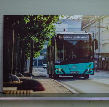 Tallinna buss